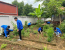 Đoàn Thanh niên sôi nổi các hoạt động hưởng ứng ngày Môi trường Thế giới và Tháng hành động vì môi trường năm 2025