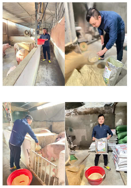 z7453414558324 d260bf7b34257d8aff123415ae703fff